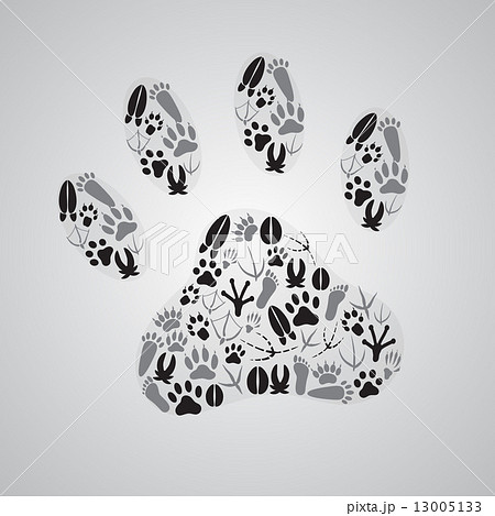 various animal footprints eps10 13005133