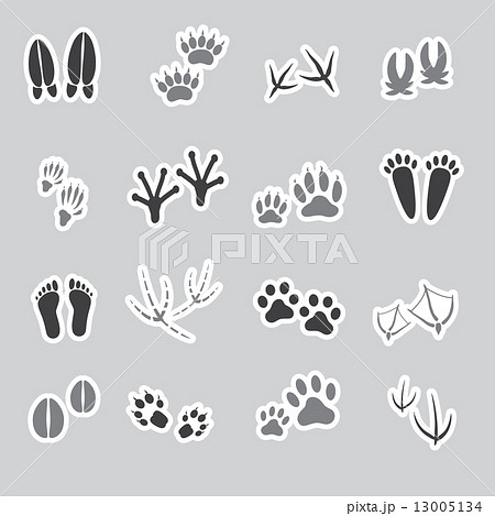 Basic Animal Footprints Stickers Set Eps10 Stock Illustration