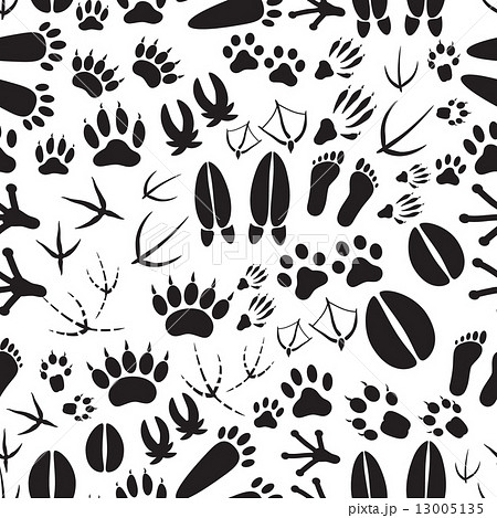 animal footprints black and white seamless pattern eps10 13005135