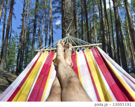 feet in the hammock on a background of pine forest 13005191