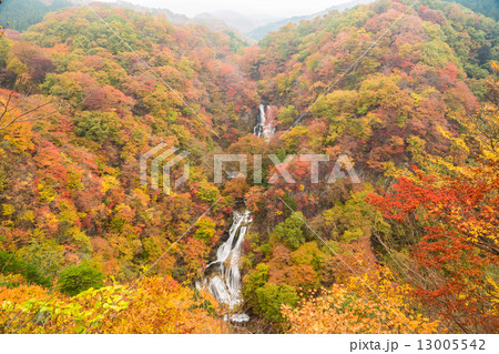 紅葉の霧降の滝 13005542