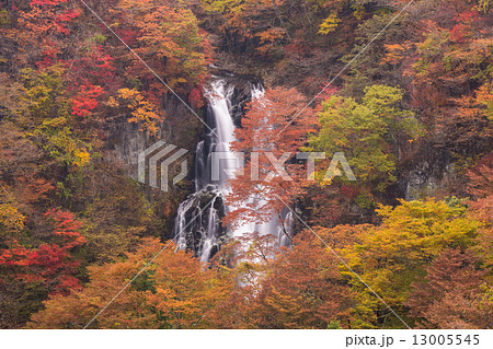 紅葉の霧降の滝 紅葉の霧降の滝 13005545