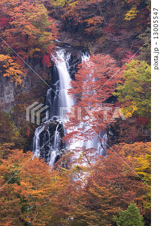 紅葉の霧降の滝 紅葉の霧降の滝 13005547
