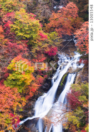 紅葉の霧降の滝 紅葉の霧降の滝 13005548