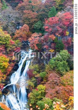 紅葉の霧降の滝 紅葉の霧降の滝 13005550