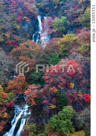 紅葉の霧降の滝 紅葉の霧降の滝 13005551