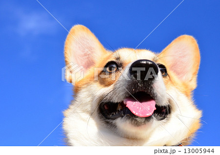 えへへ♪ 13005944