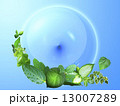 緑の地球イメージ 13007289
