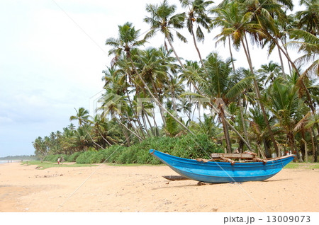 The traditional Sri Lanka's boat for fishing on the beach 13009073