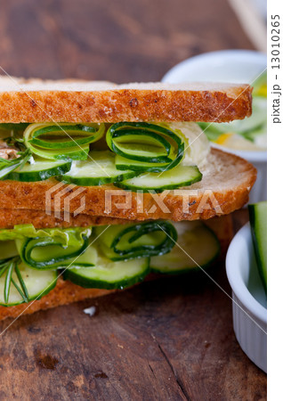 fresh vegetarian sandwich with garlic cheese dip salad fresh vegetarian sandwich with garlic cheese dip salad 13010265
