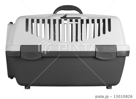 Pet carrier for traveling 13010826