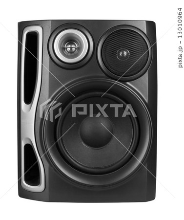 Speaker 13010964