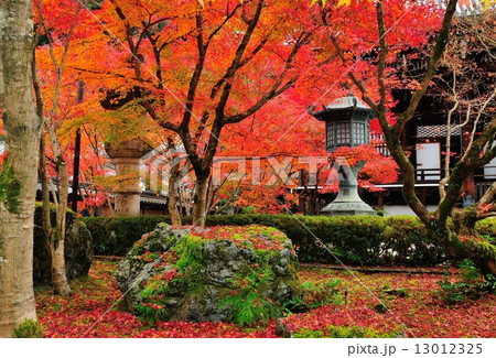 紅葉の京都　永観堂 13012325