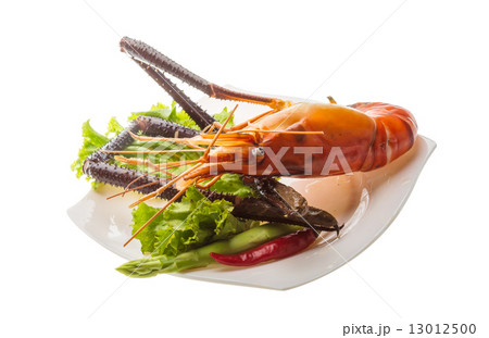 Giant Freshwater Prawn Giant Freshwater Prawn 13012500