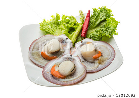 Raw fresh scallop 13012692