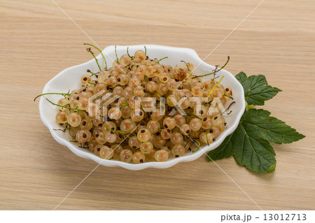 White currant 13012713