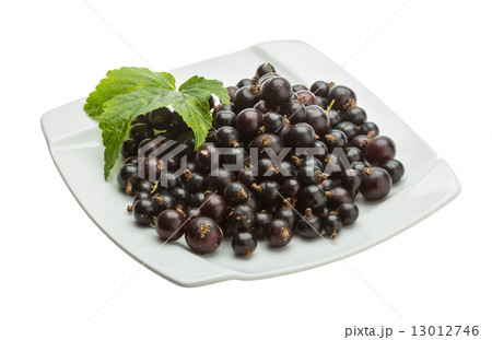 Black currant Black currant 13012746