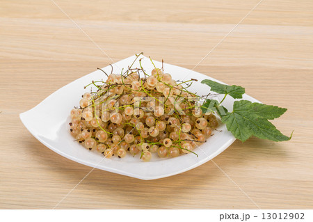 White currant 13012902