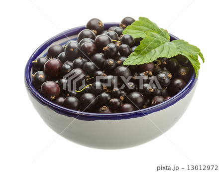 Black currant Black currant 13012972
