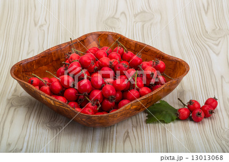 Hawthorn 13013068