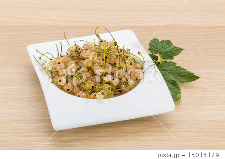 White currant 13013129