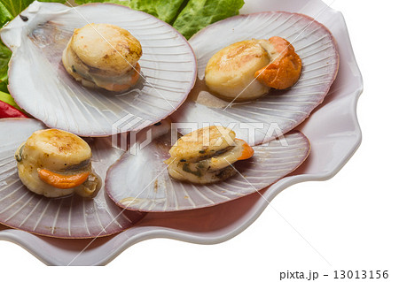 Grilled scallops Grilled scallops 13013156