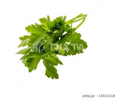 Parsley Parsley 13013218