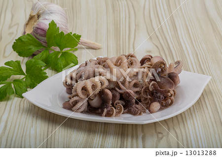 Boiled octopus 13013288