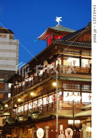 道後温泉本館 道後温泉本館 13019443