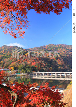 11月京都 嵐山渡月橋と紅葉 13019939