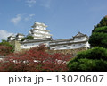 2014年秋、姫路城の紅葉 13020607