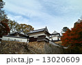 2014 年秋、備中松山城の紅葉 13020609