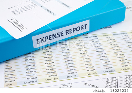 Business expense report with binder 13022035