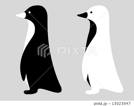 白黒ペンギンセットのイラスト素材 13023047 Pixta