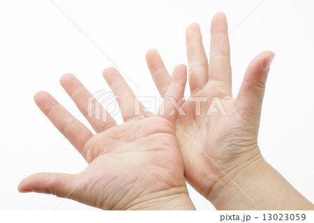 手のひら 13023059