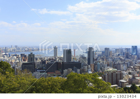 神戸市街地の展望 神戸市街地の展望 13023434