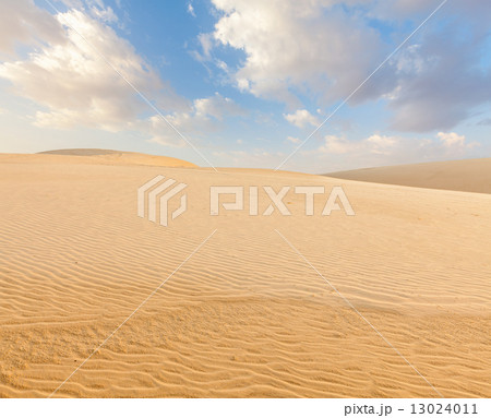 White sand dunes on sunrise, Mui Ne, Vietnam 13024011
