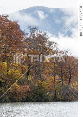 鎌池 鎌池 13024101