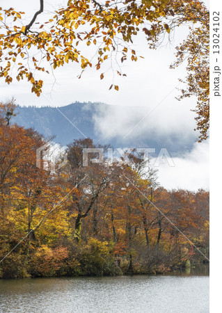 鎌池 鎌池 13024102