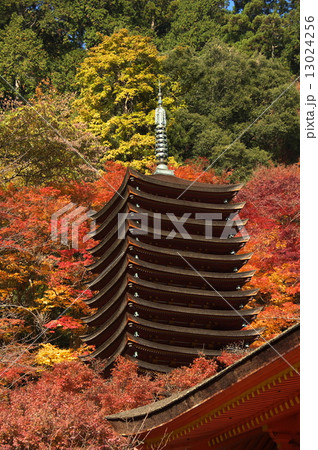 談山神社・十三重塔 13024256