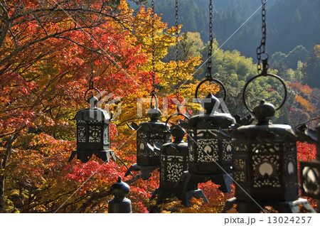 談山神社 13024257