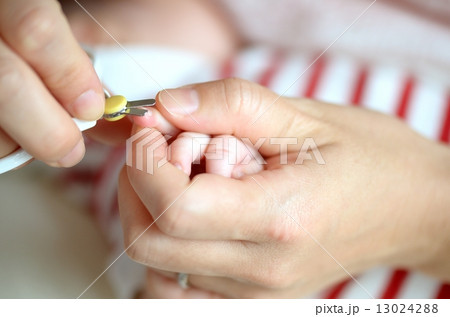 子供 子供 13024288