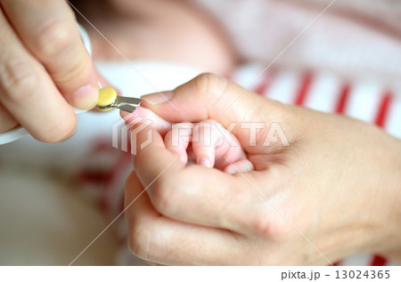 子供 子供 13024365