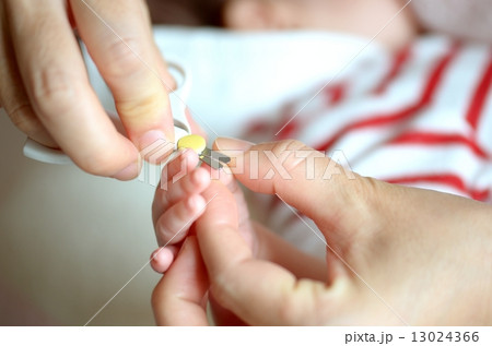 子供 子供 13024366