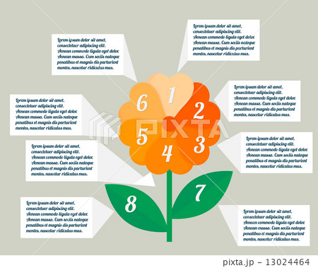 Flower infographics 13024464