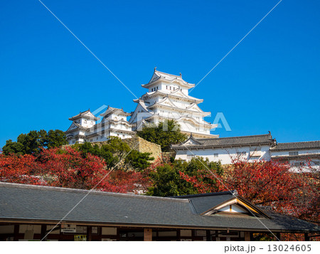 秋の姫路城 13024605