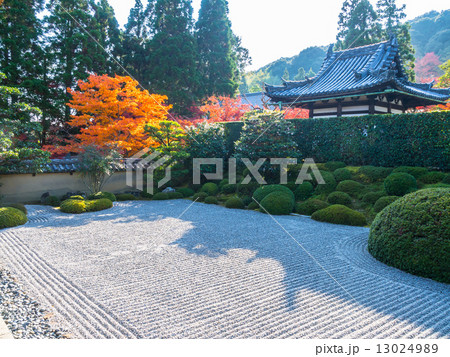 一休寺の方丈庭園と紅葉 一休寺の方丈庭園と紅葉 13024989