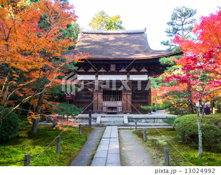 一休寺の紅葉 13024992