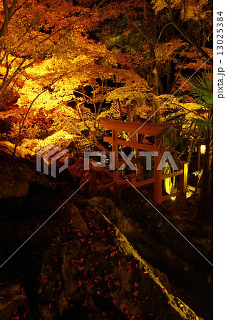 紅葉の石山寺とライトアップの写真素材