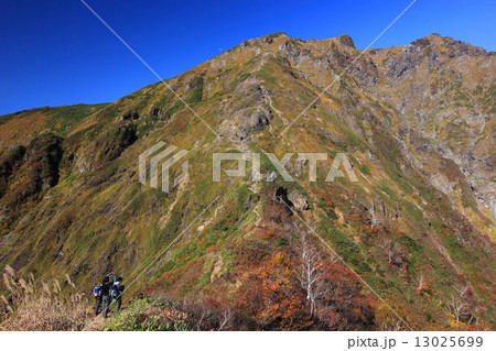 谷川岳西黒尾根の風景 谷川岳西黒尾根の風景 13025699